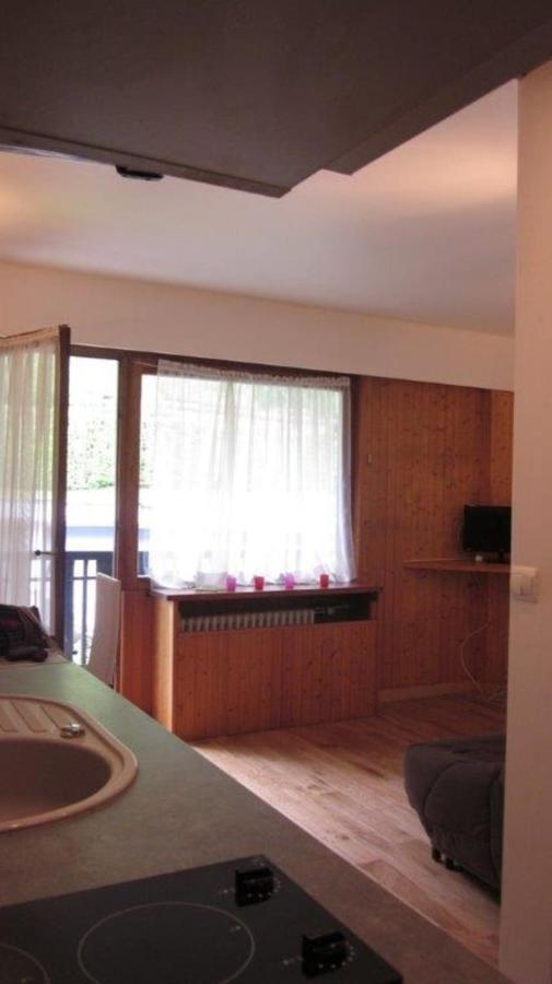 Studio With Balcony In Chamonix Apartment Екстериор снимка
